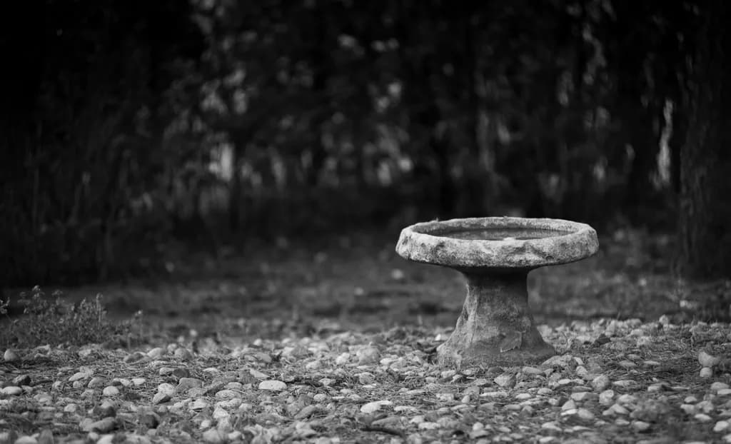 Echoes of Stillness
