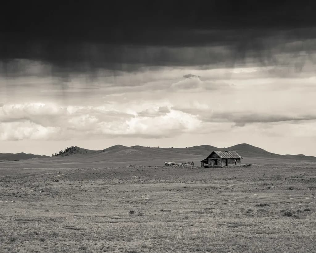 In the Shadow of the Storm