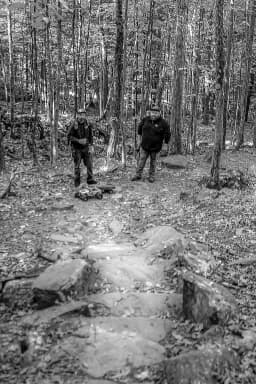 Forest Truck Drivers
