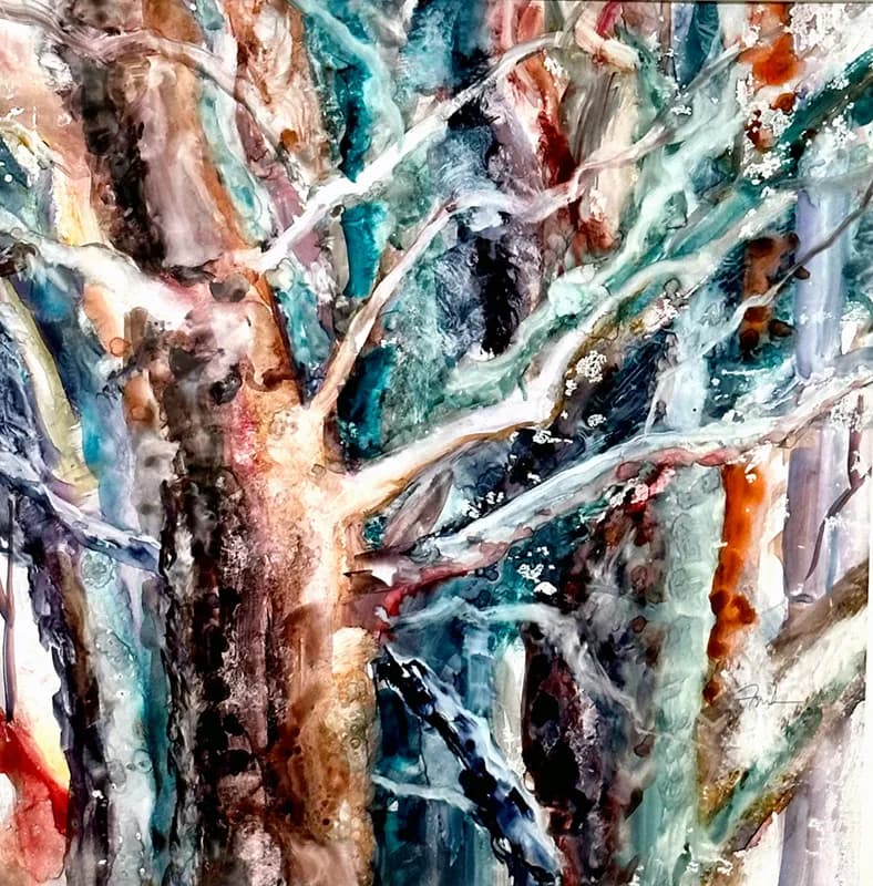 Live Oaks