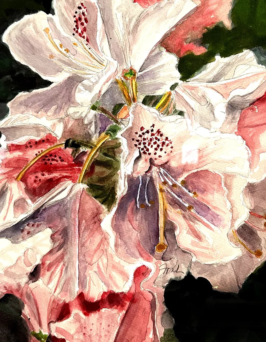 Giverny Garden