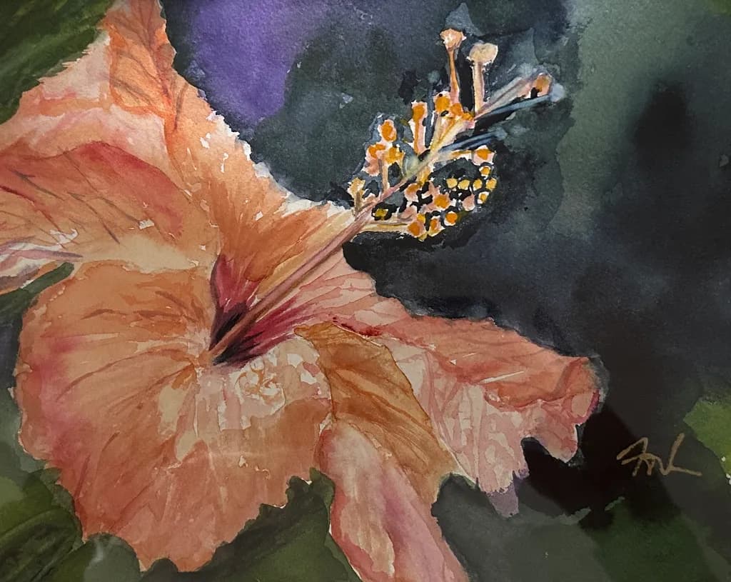 Hibiscus