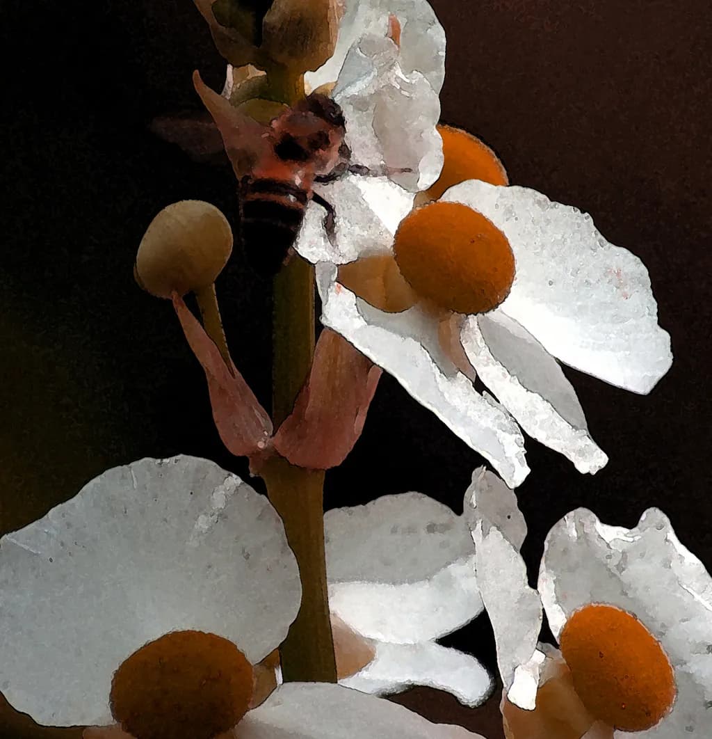 Whispers of Nature: A Macro Dance of Orange Petals and Busy Bees