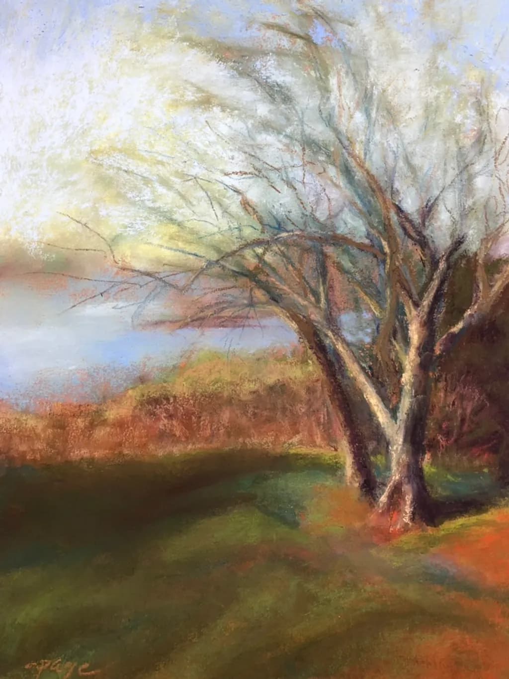 Autumn Silence