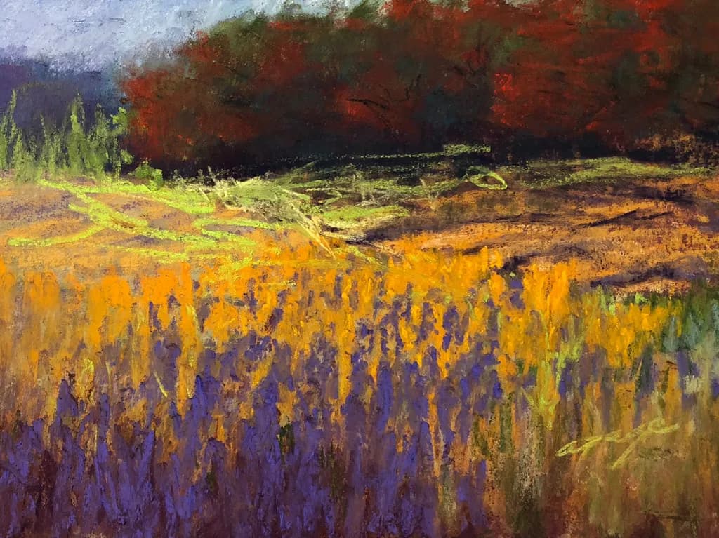 Autumn Field Contrast