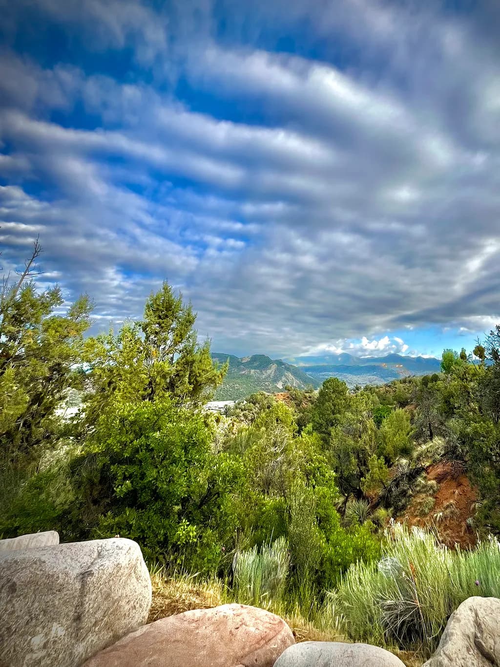Whispers of Nature: A Scenic View of Lush Greenery and Dramatic Clouds