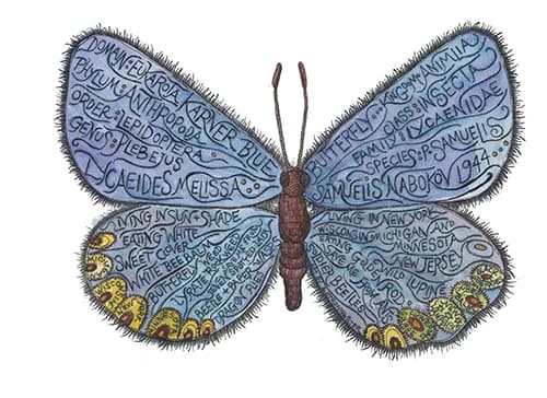 Whispers of Nature: The Scientific Elegance of the Blue Butterfly