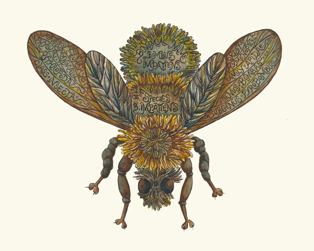 Whimsical Insect: The Botanical Bee of B. M. Patens