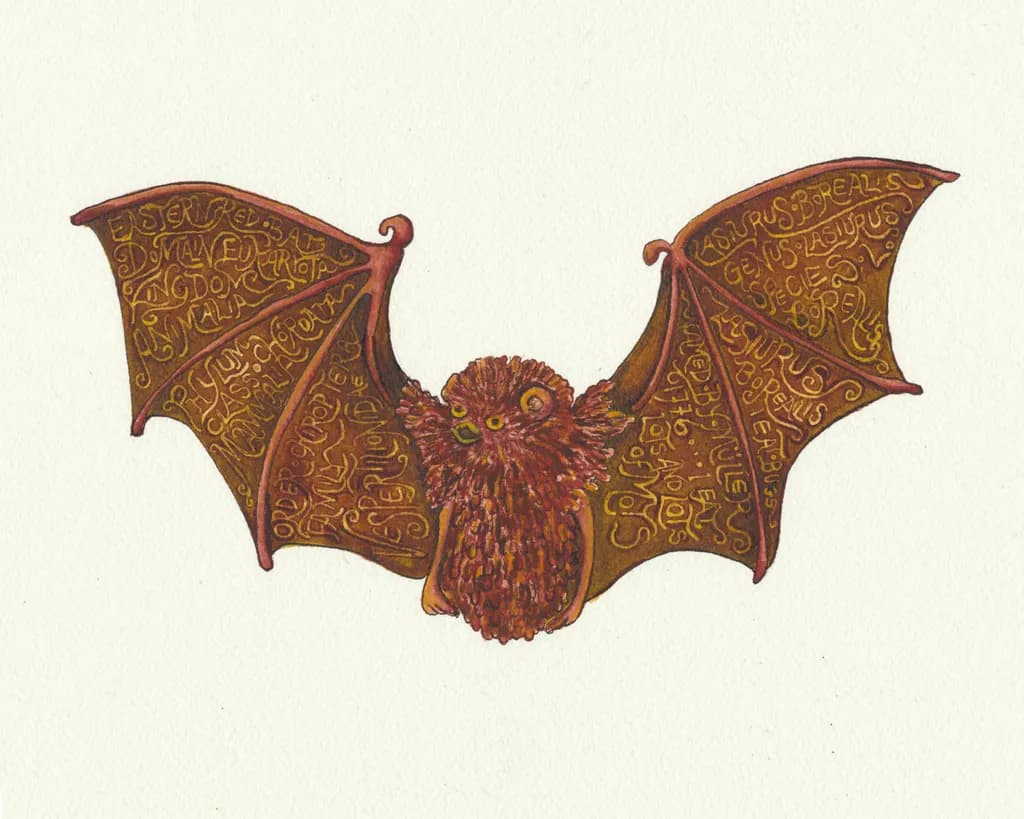 Whimsical Wisdom: The Enigmatic Bat with Scripted Wings