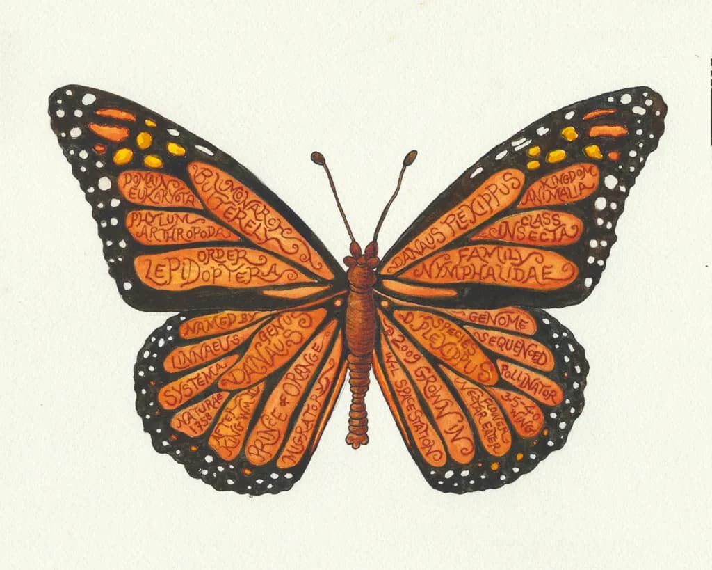 Whispers of Transformation: The Monarch Butterfly's Scientific Journey