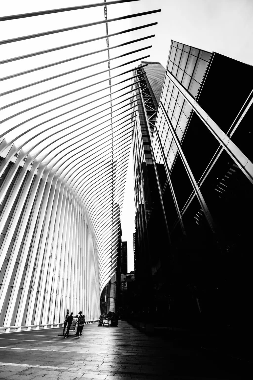 Urban Symphony: The Dance of Light and Shadow in Modern Architecture