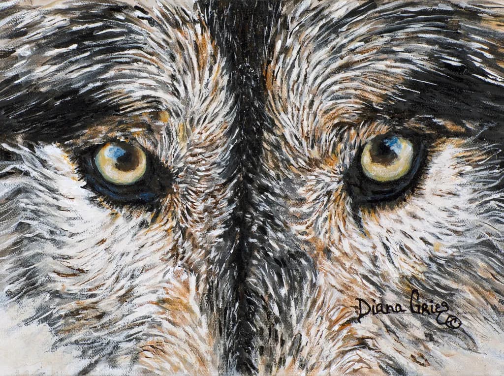 Eyes of Sungmanitu