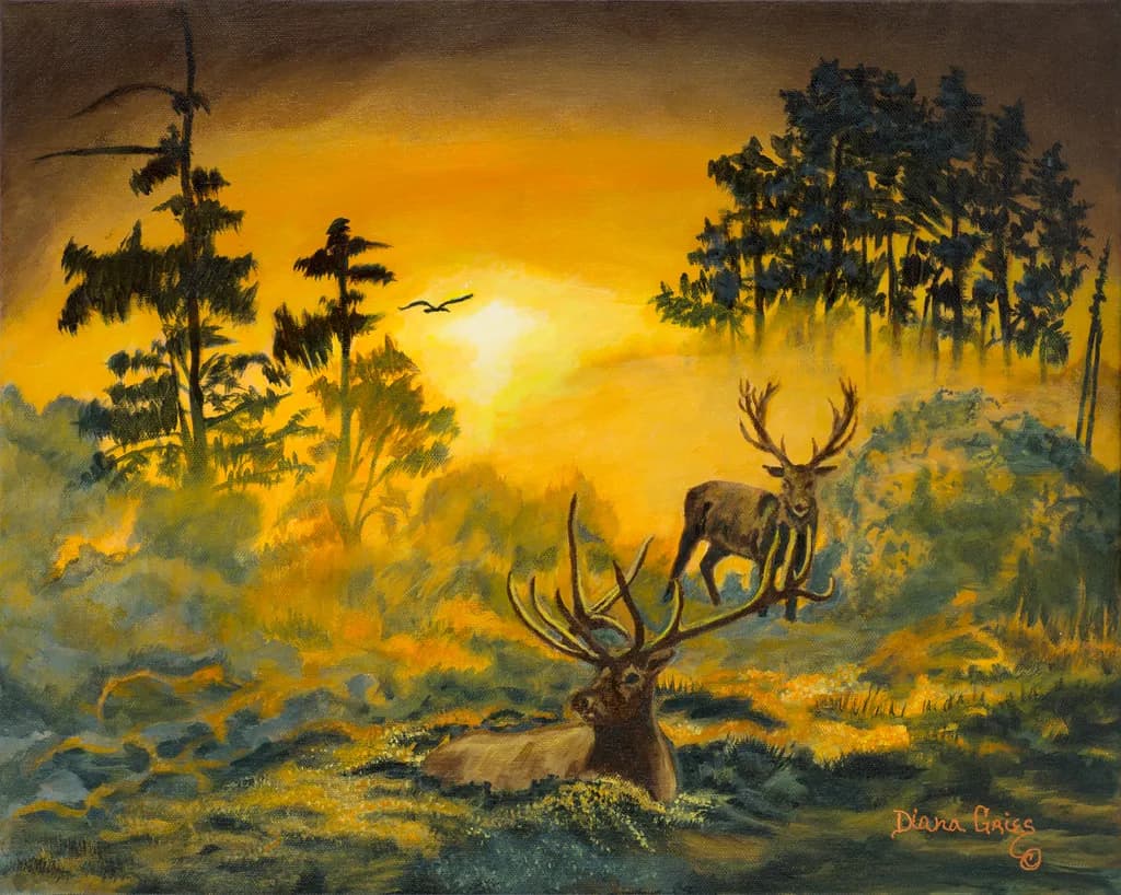 Glow of the Sun at Dusk