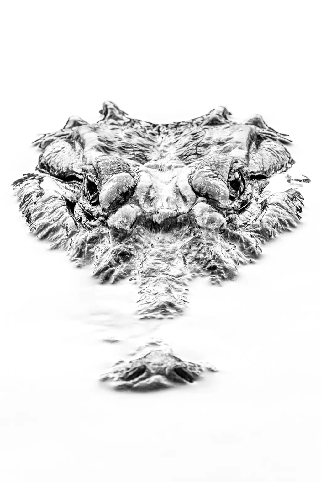 Silent Watcher: The Stealthy Elegance of a Reptilian Guardian in Black and White