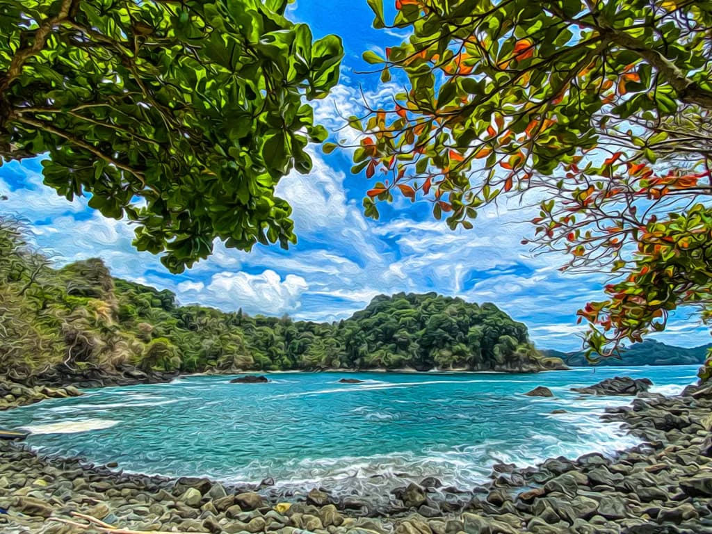 Decisions Cove Or Lizard