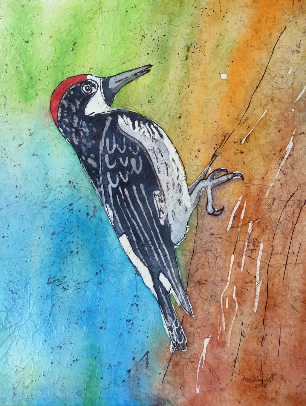 Acorn Woodpecker