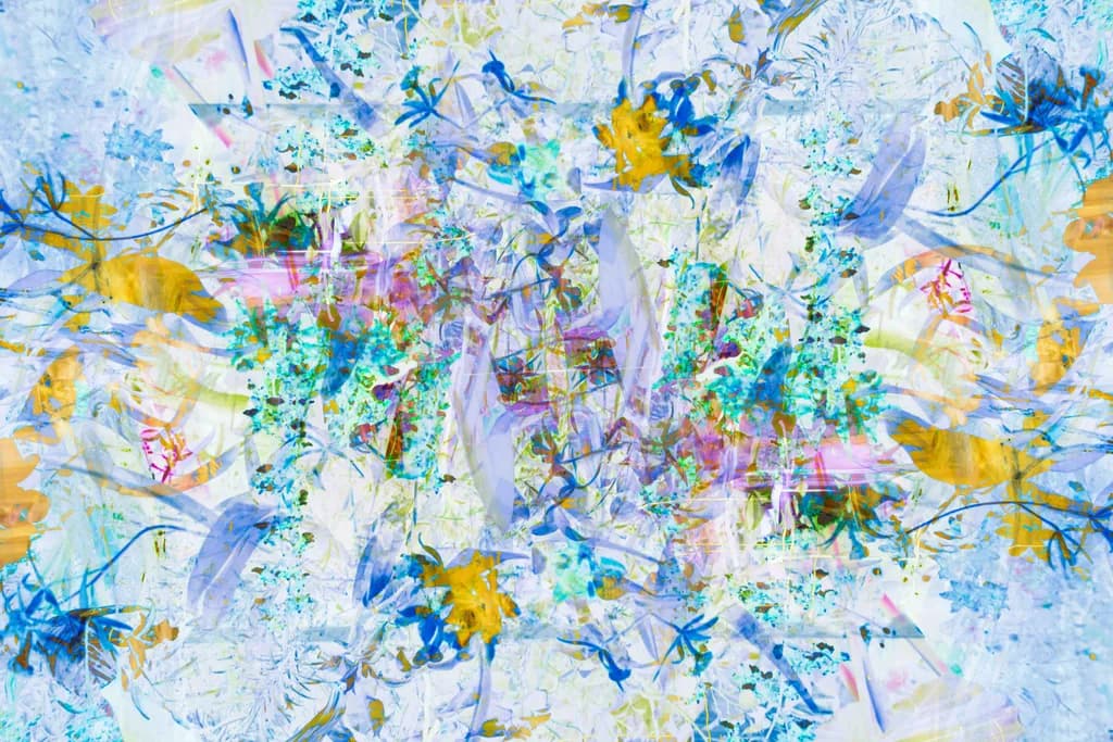 Orchids Reimagined