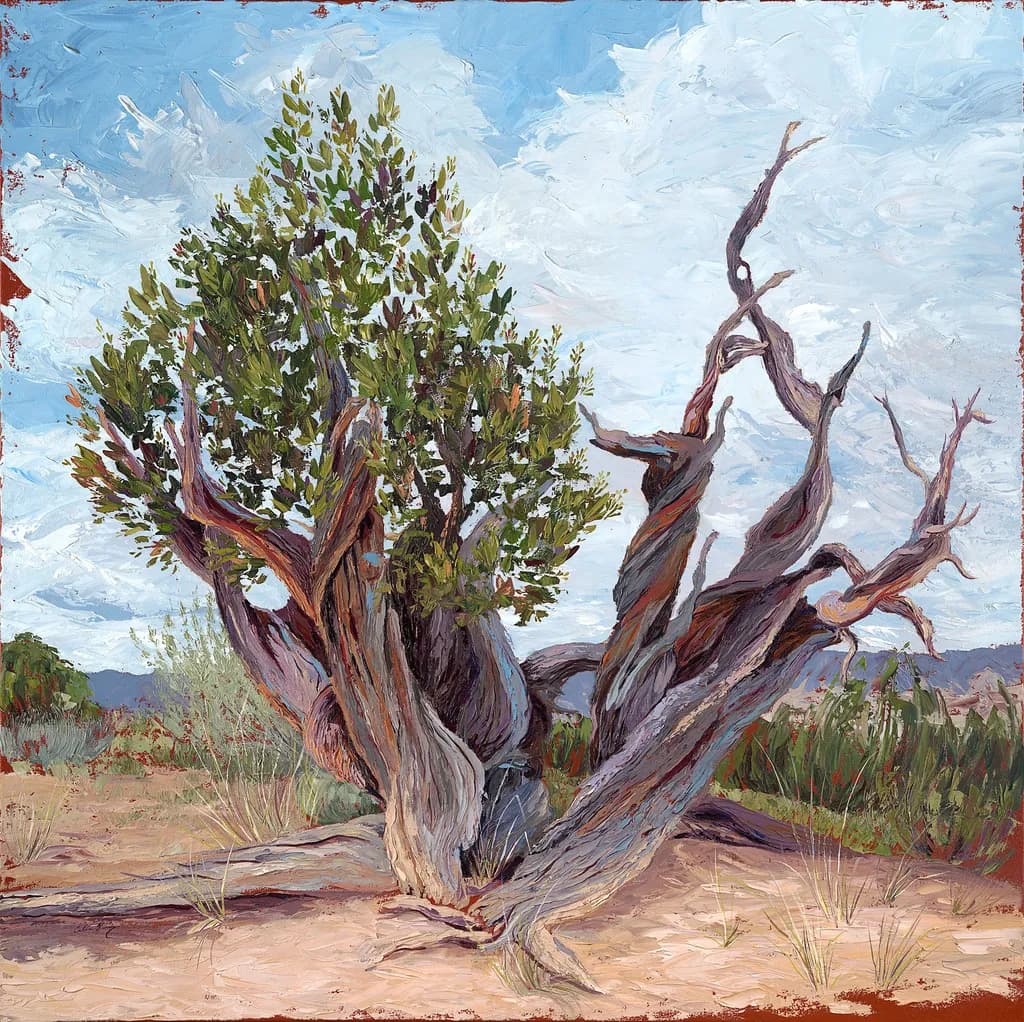 Juniper IV