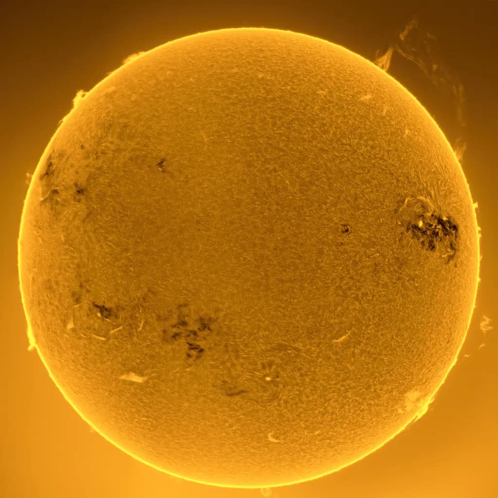 The Living Sun