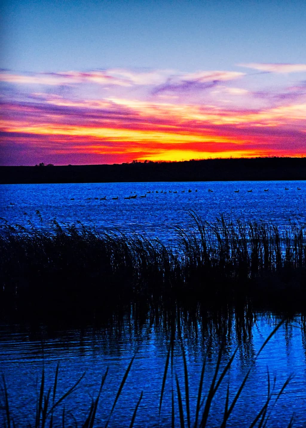 Serenity at Dusk: A Tranquil Reflection of Nature's Palette