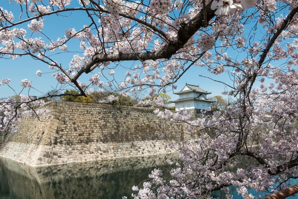 Cherry Blossom Serenity: A Tranquil View of Historic Castle Reflections