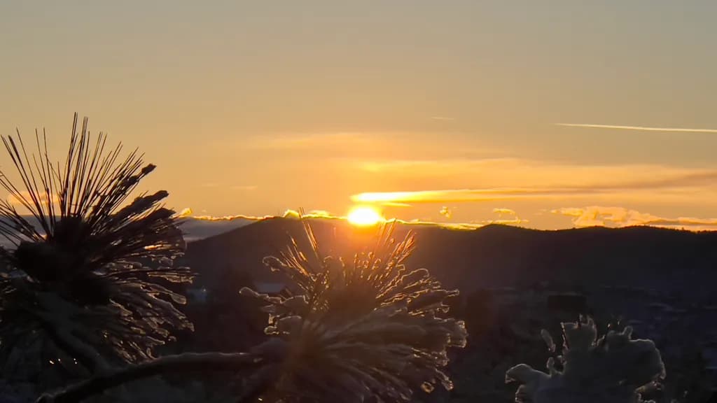 Frosted Sunrise