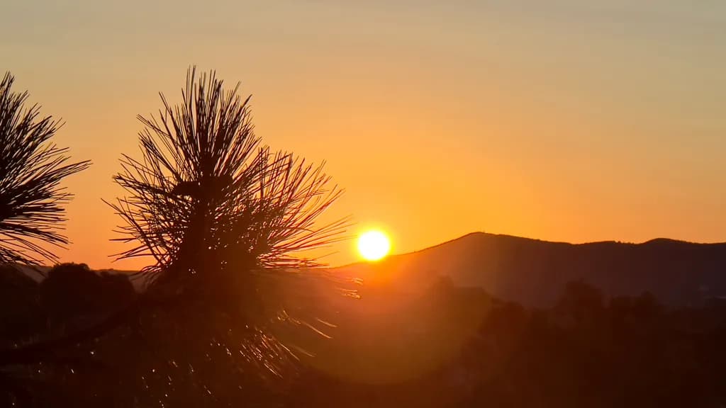 Sunset Silhouette