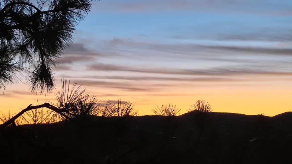 Sunset Serenity