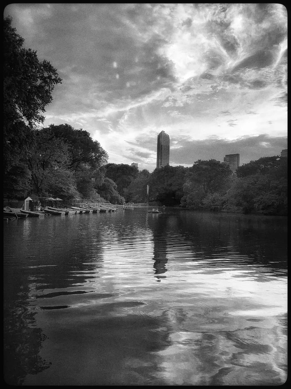 Serene Urban Reflections: A Tranquil Dance of Nature and Cityscape in Monochrome