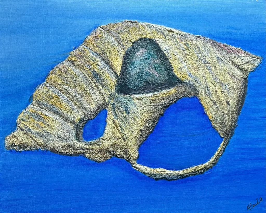 Seashell with Texture