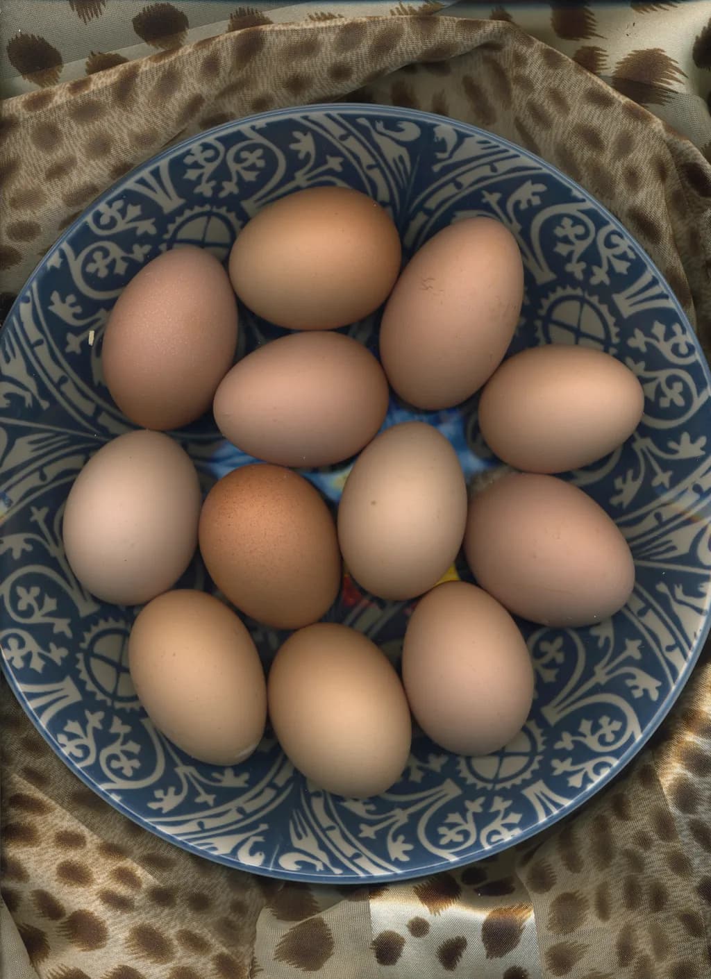 Whispers of Nature: A Serene Collection of Organic Eggs on Decorative Plate