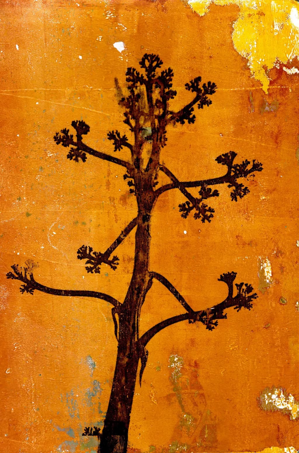 "Century Tree"