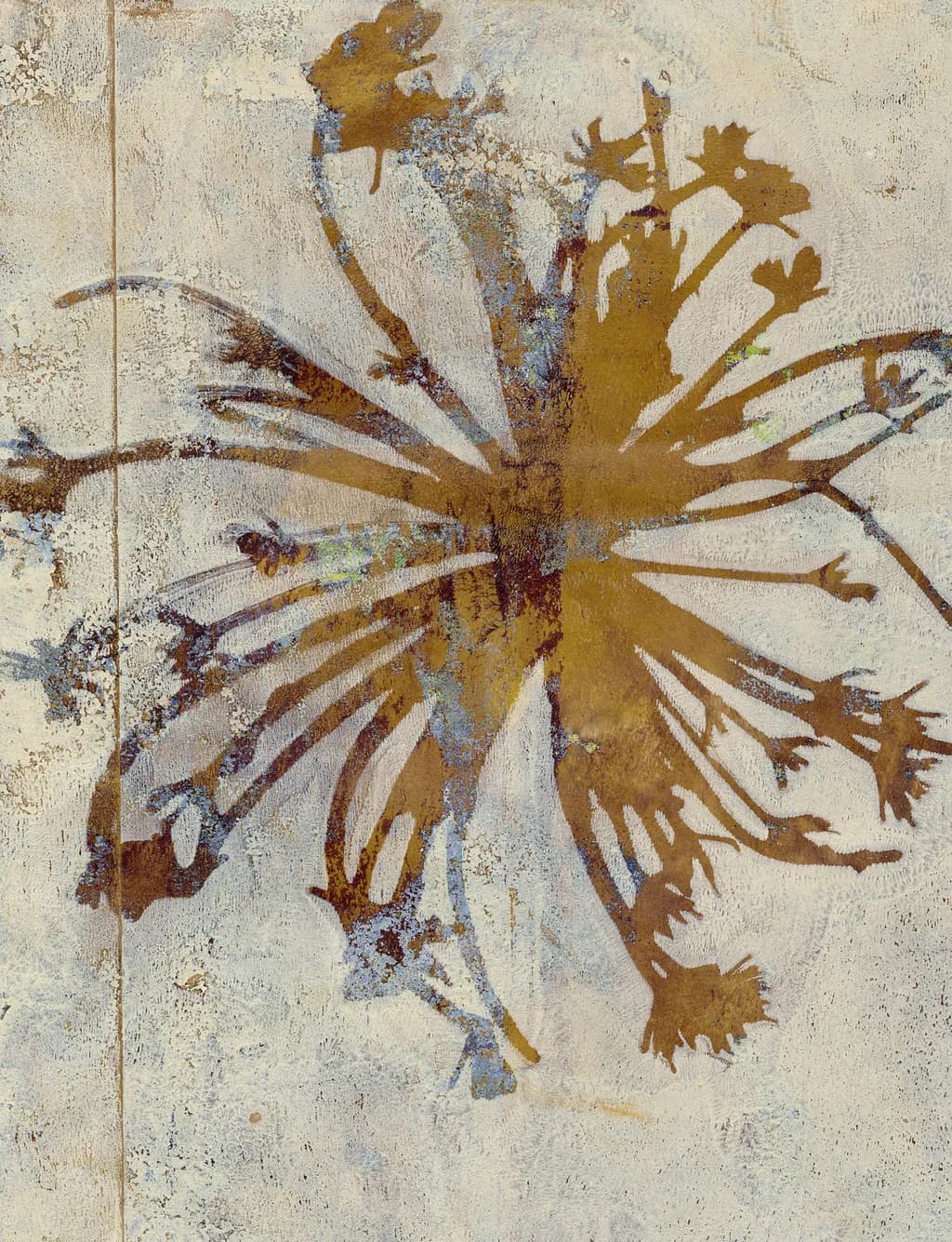 Golden Seedhead