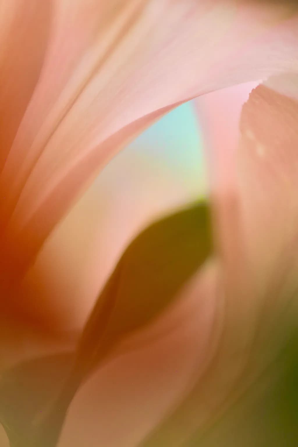 Whispers of Nature: A Delicate Dance in Soft Pink Hues