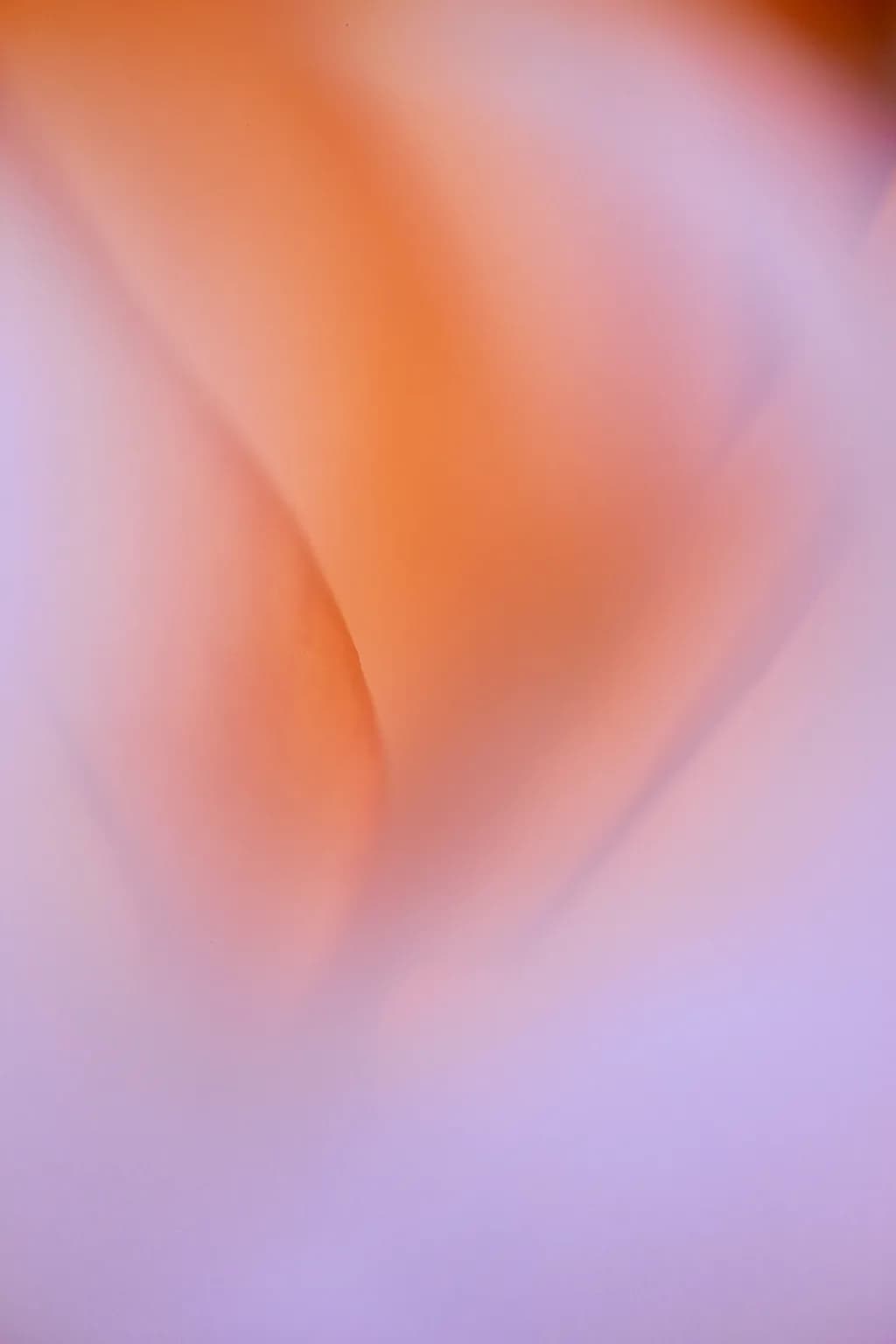Whispers of Color: A Soft Embrace of Light and Form