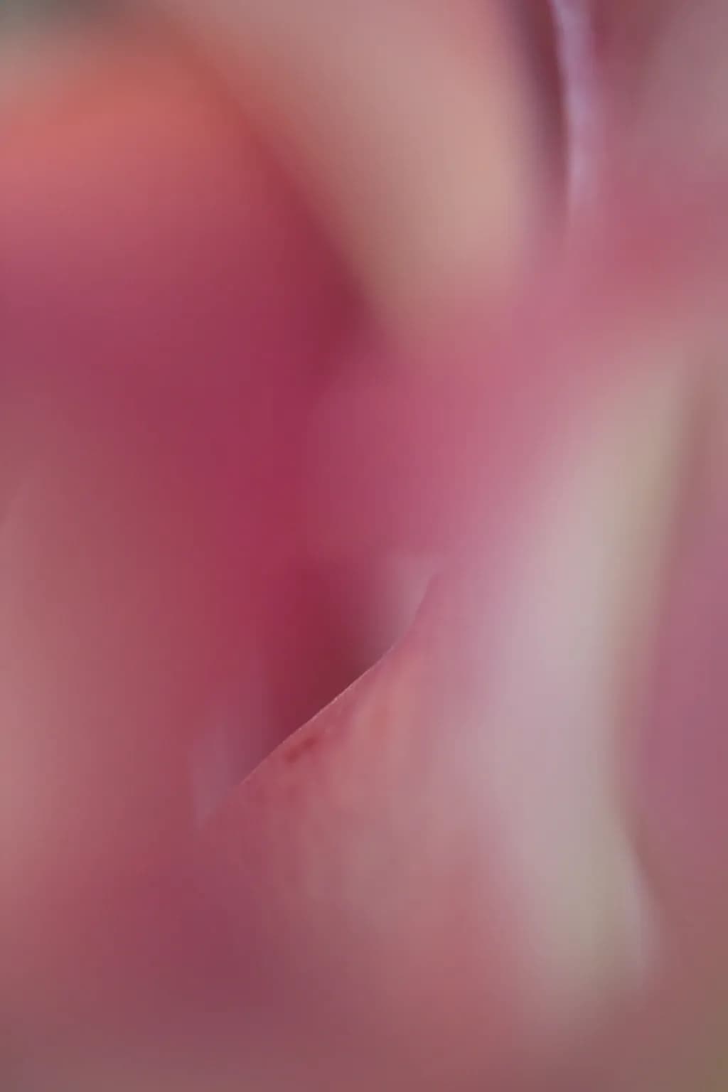Whispers of Pink: An Abstract Exploration of Softness and Emotion