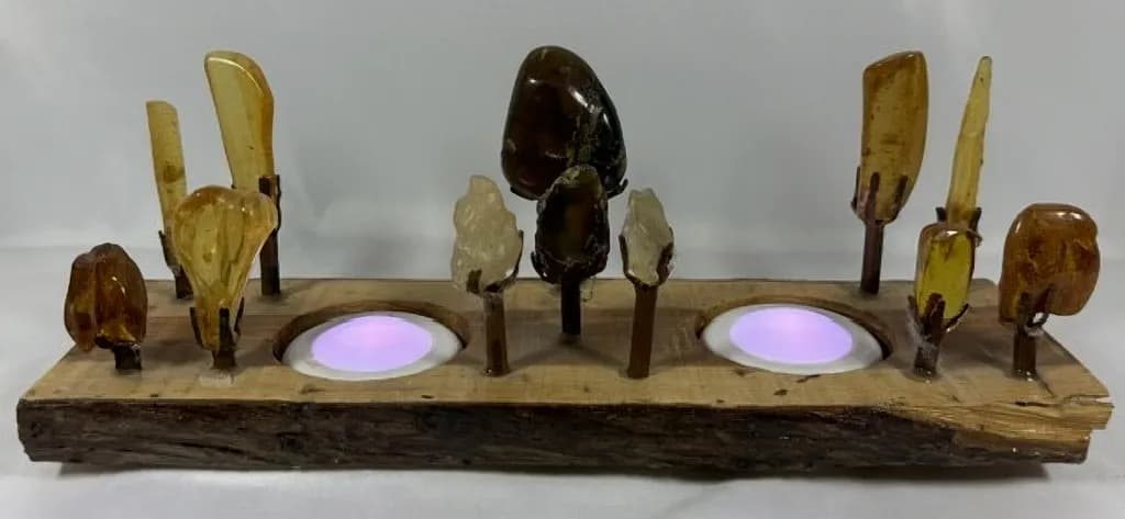 AMBER PIECES WITH INCLUSIONS UNDER WHITE PUC LIGHTS