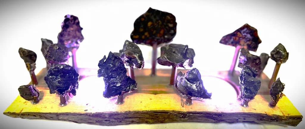 VARIOUS METEORITES FROM AROUND THE WORLD