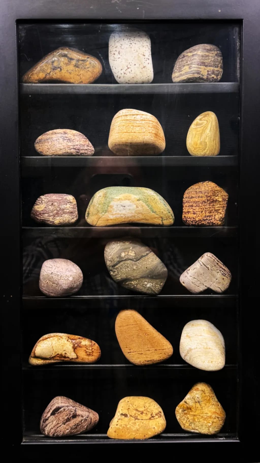 A Cabinet of Time