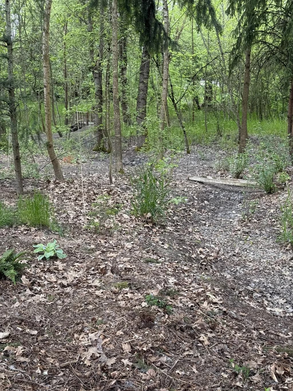 Quiet Path
