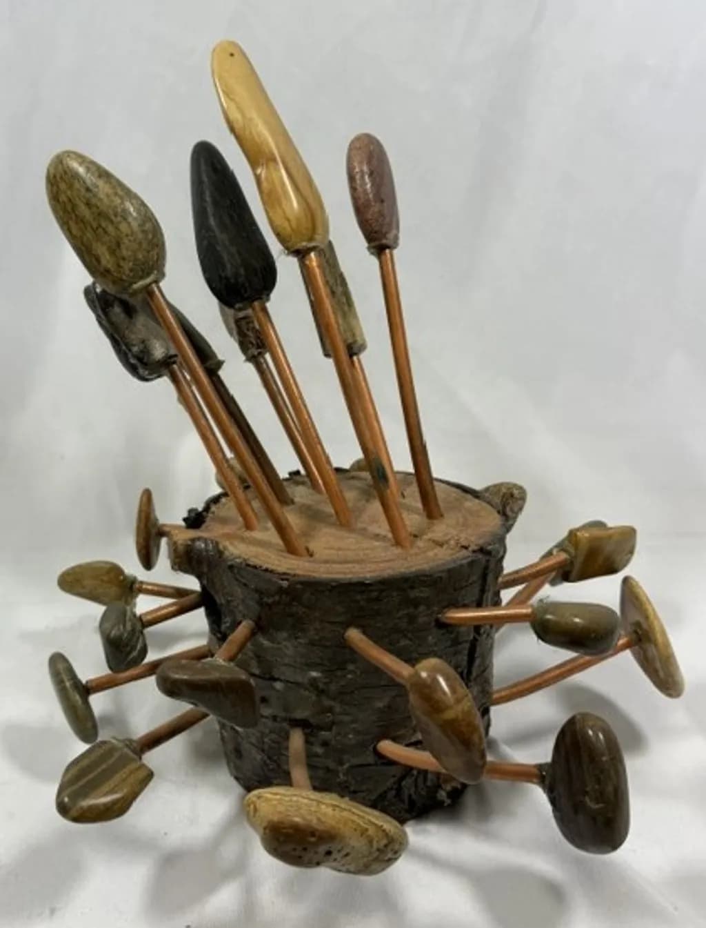 PETRIFIED WOOD IN THE WIND