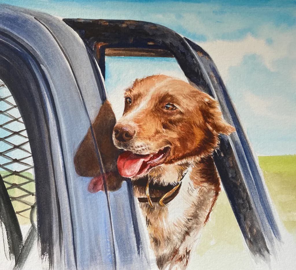 Joyride Companion