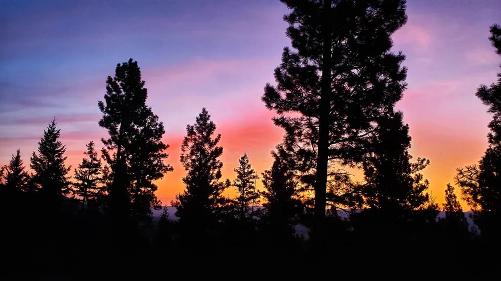 Whispers of Twilight: A Serene Silhouette of Pines Against a Vibrant Sunset Sky