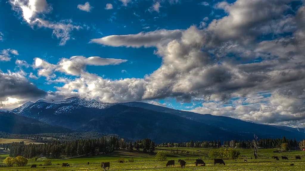 Serenity in the Valley: A Majestic Landscape of Mountains and Cattle Under a Dramatic Sky