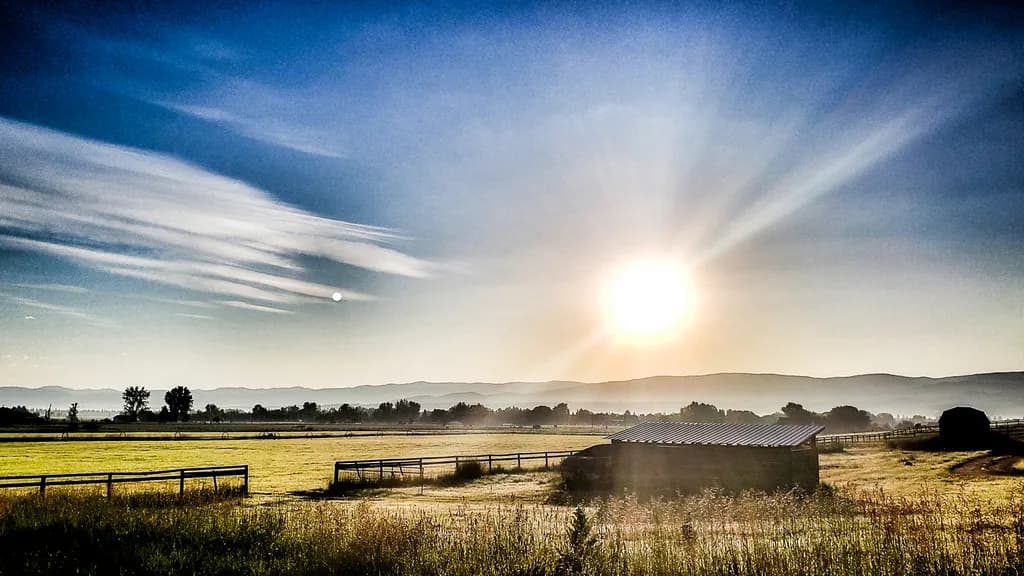 Golden Dawn: Embracing the Serenity of a Sunlit Landscape