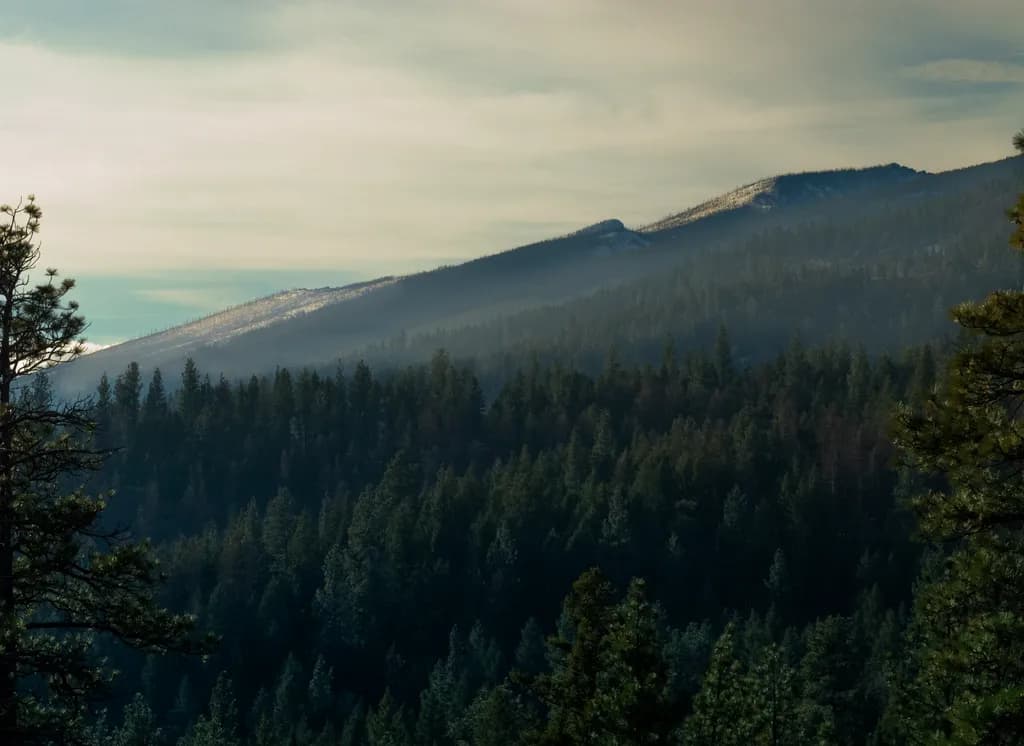 Whispers of the Forest: A Serene Mountain Landscape at Dusk