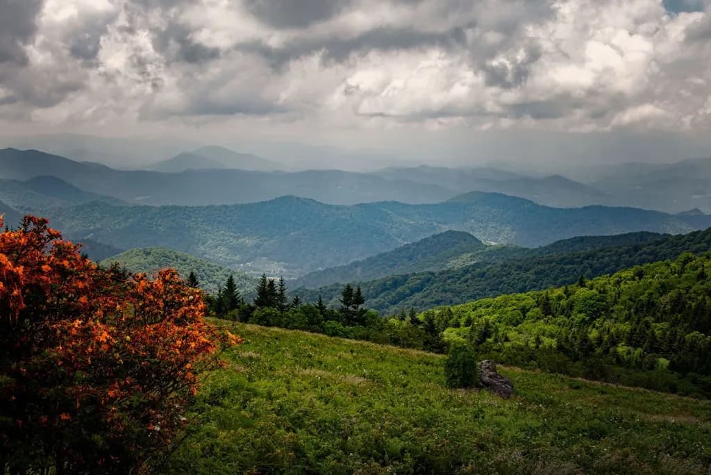 Roan Mountain