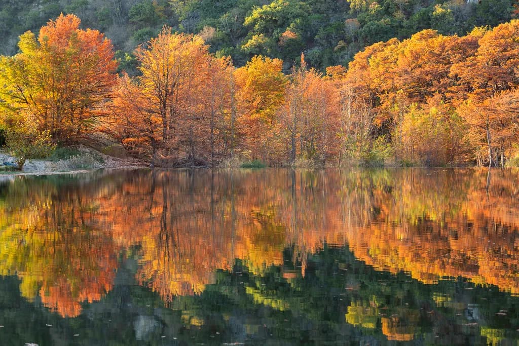 Morning Aglow