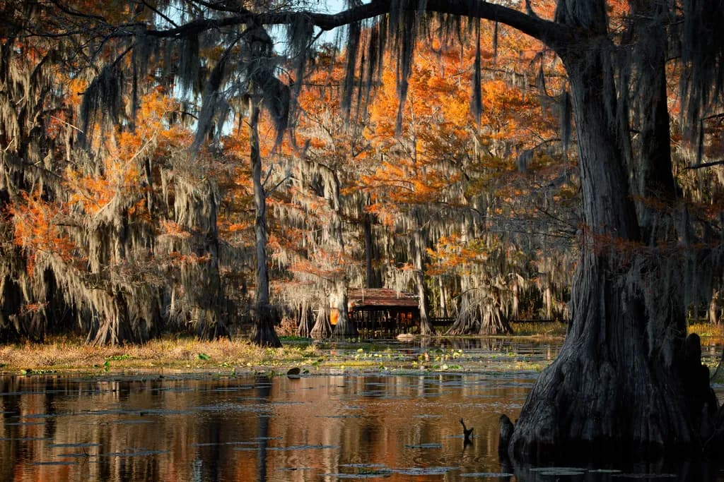 The Shack