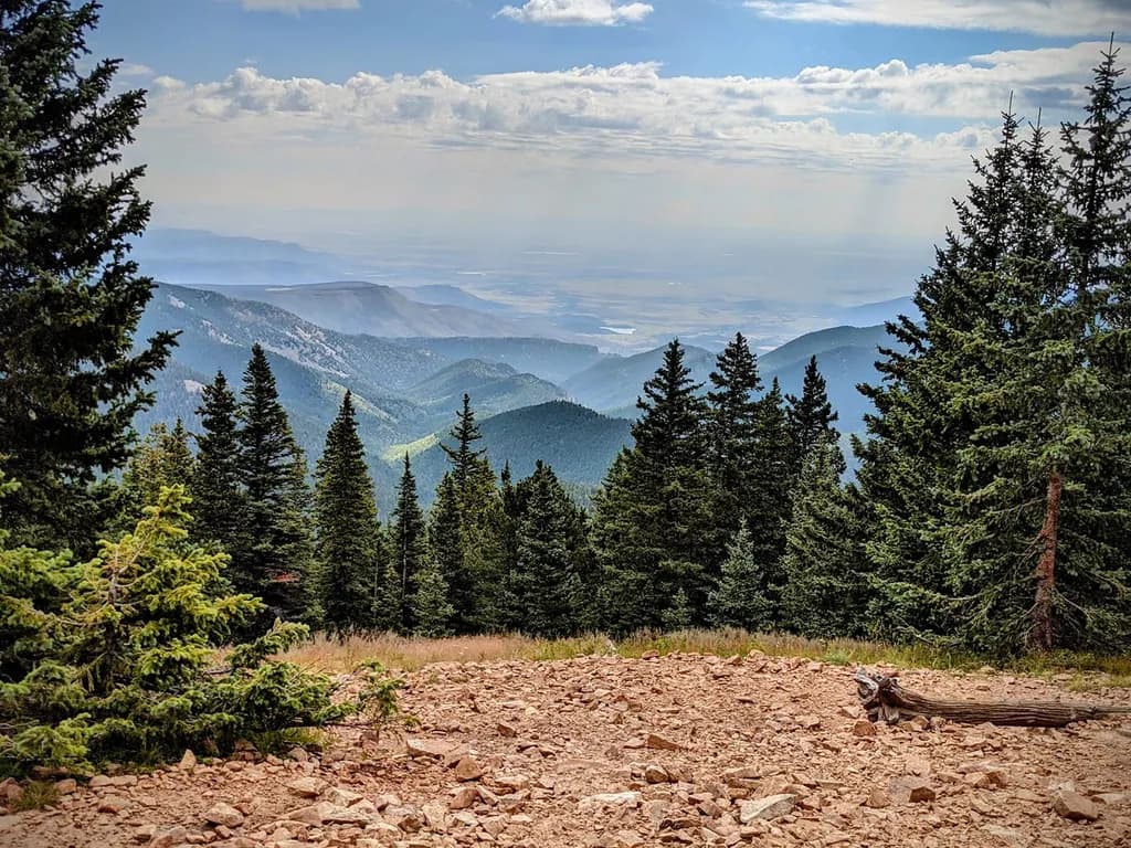 Whispers of the Mountains: A Serene Landscape of Pines and Peaks